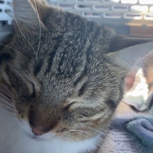 Meet your Posher, Kaydence